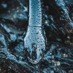 COMBO Leurres Souples Shad Texan ANCHO 120 50g Dos Noir/dos Blanc Pêche En Mer 11 COMBO Leurres Souples Shad Texan ANCHO 120 50g Dos Noir/dos Blanc Pêche En Mer -Matériel De Pêche combo leurres souples shad texan ancho 120 50g dos noirdos blanc peche en mer 4