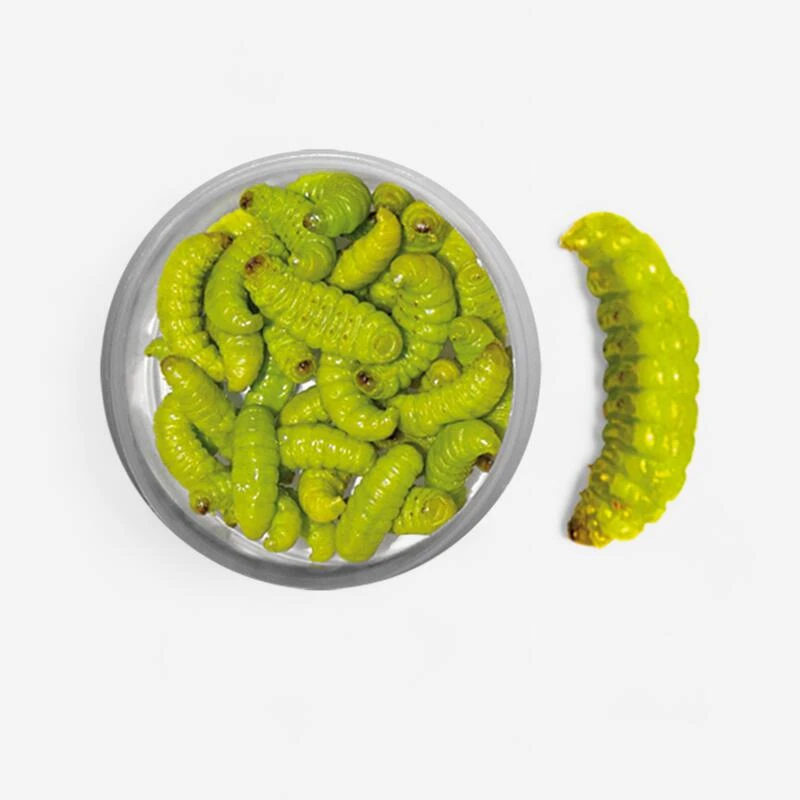 ESCHE PÊCHE DE LA TRUITE TEIGNES MOMIFIEES VERTE 1 ESCHE PÊCHE DE LA TRUITE TEIGNES MOMIFIEES VERTE