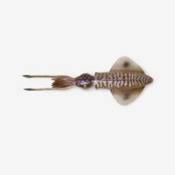 Savage Gear Leurre De Pêche En Mer 3D SWIM SQUID 12.5 CM CUTTLEFISH