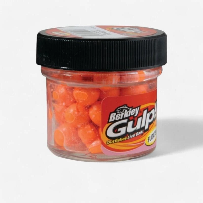 No Brand PATE A TRUITE PECHE DE LA TRUITE EN ETANG AUX APPATS OEUFS DE SAUMON ORANGE 1 No Brand PATE A TRUITE PECHE DE LA TRUITE EN ETANG AUX APPATS OEUFS DE SAUMON ORANGE