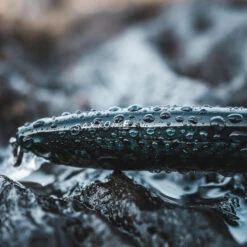 Poisson Nageur SAXTON 110F Mack Vert Pêche Au Leurre En Mer 16 Poisson Nageur SAXTON 110F Mack Vert Pêche Au Leurre En Mer -Matériel De Pêche poisson nageur saxton 110f mack vert peche au leurre en mer 7