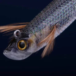 Turlutte Ultra Coulante TYP RUN EBIFISH 3.0/120 Naturel Mullet Pêche Calamar -Matériel De Pêche turlutte ultra coulante typ run ebifish 30120 naturel mullet peche calamar 2